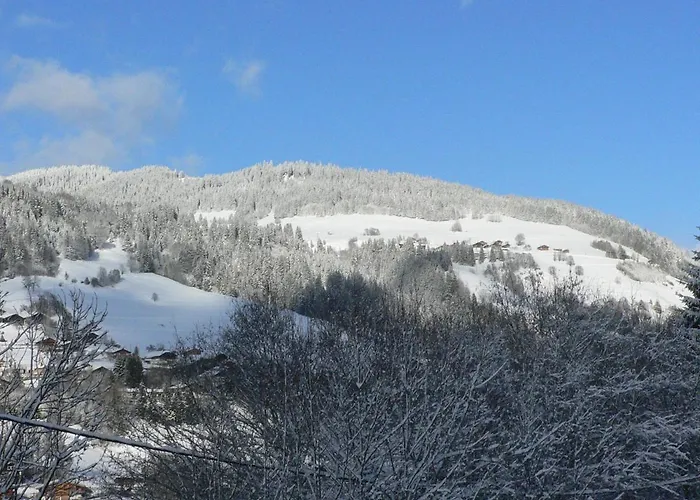 Petit Individuel De Caractere Megève