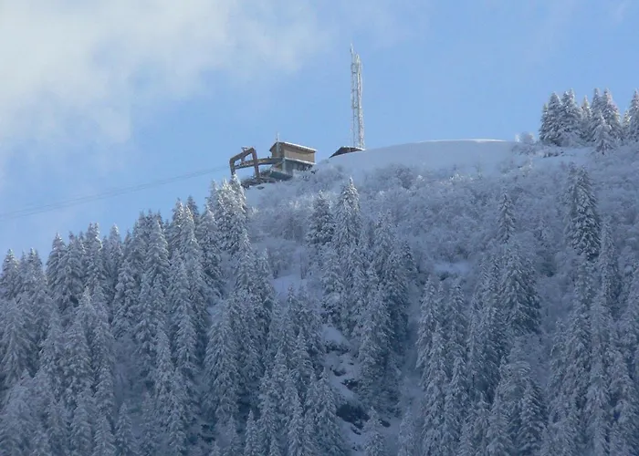 Petit Individuel De Caractere Alpesi faház Megève